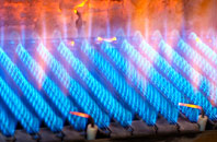 Bingham gas fired boilers